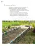 Miniatura página 175 de Proyectos Comunitarios.   Libro de Educación Primaria Grado 3°  Ciclo Escolar 2025 - 2026