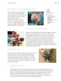 Miniatura página 106 de Nuestros saberes: Libro para alumnos, maestros y familia.   Libro de Educación Primaria Grado 6°  Ciclo Escolar 2025 - 2026