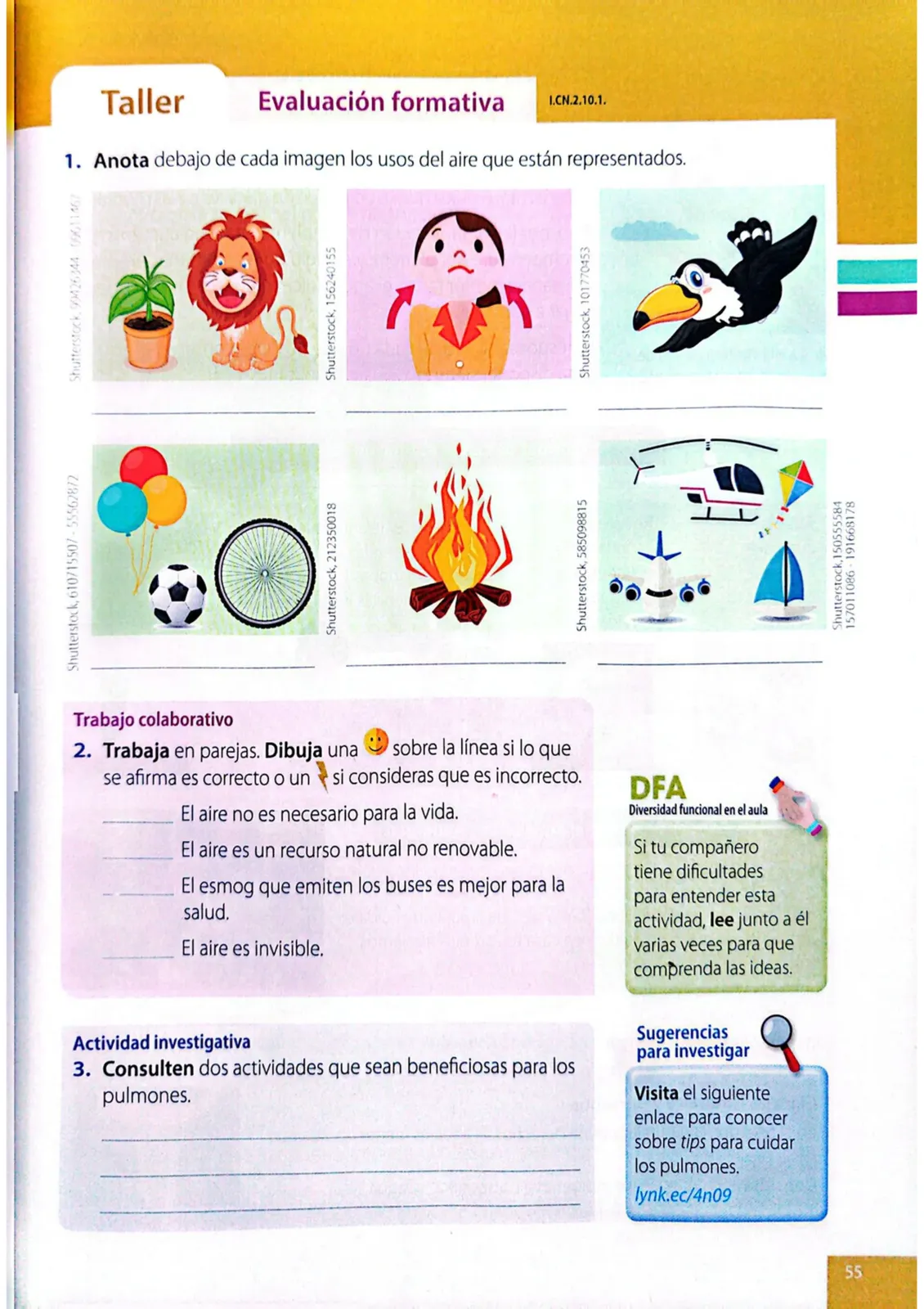 Miniatura página 52 de Ciencias Naturales · 4 EGB · 2025