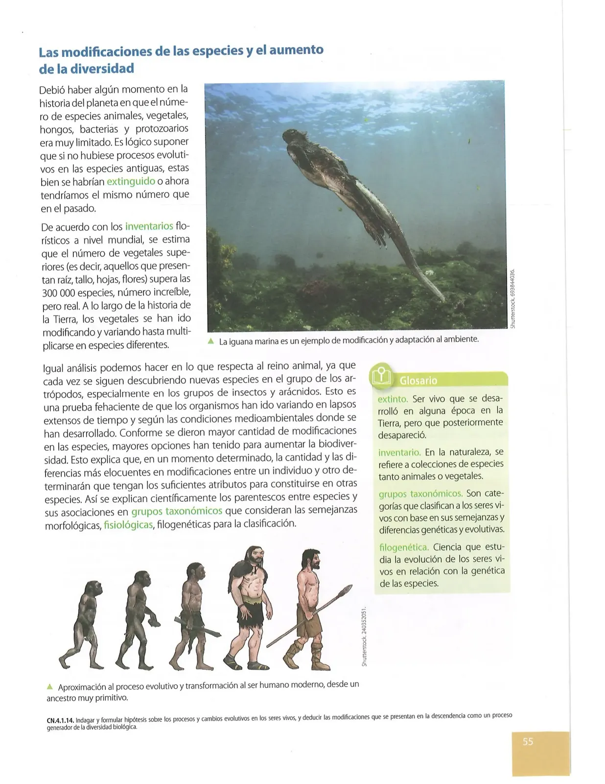 Página 52
