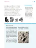 Miniatura página 62 de Nuestros saberes: Libro para alumnos, maestros y familia.   Libro de Educación Primaria Grado 1°  Ciclo Escolar 2025 - 2026