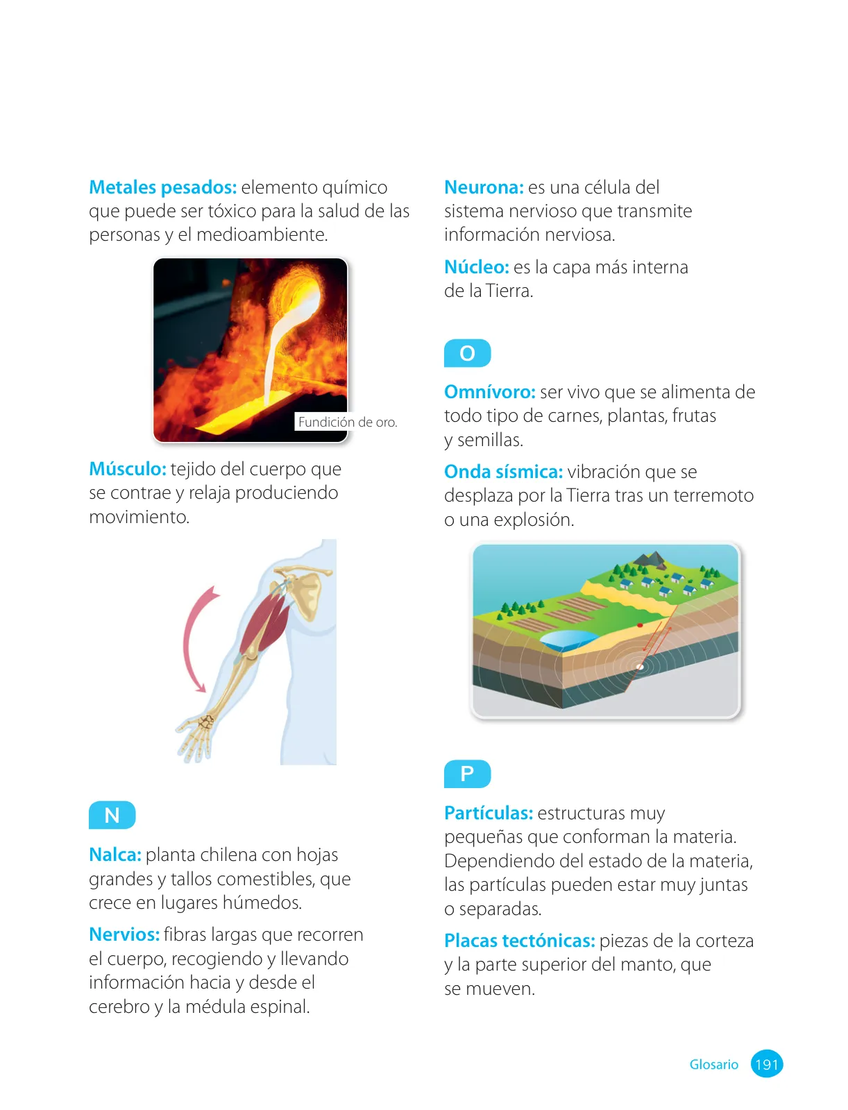Página 193 de Ciencias Naturales – Cuarto Básico | Texto del Estudiante MINEDUC – Descargar PDF · 2024