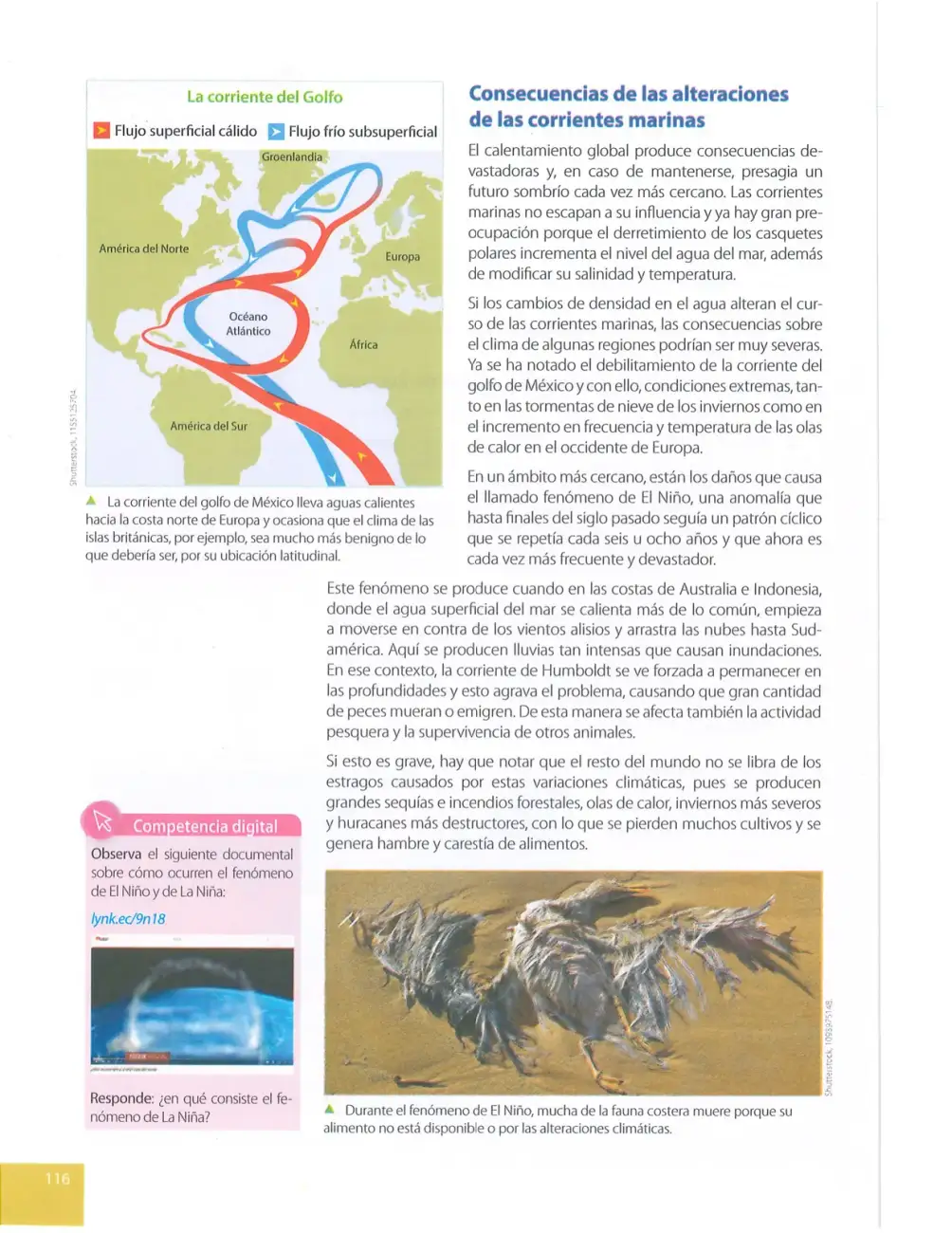 Página 117
