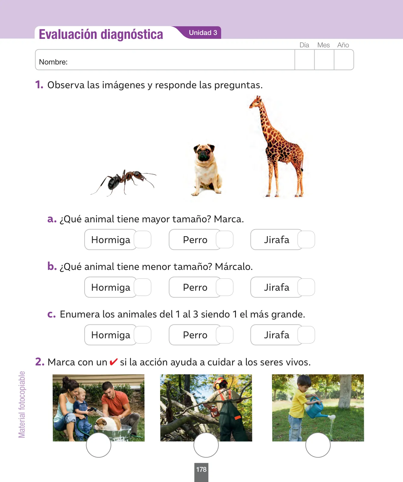 Miniatura página 179 de Ciencias Naturales – Primero Básico | Texto del Estudiante (MINEDUC) – Descargar PDF · 2024