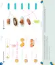 Miniatura página 25 de Inglés – Primero Básico | Student’s Book MINEDUC – Descargar PDF · 2024