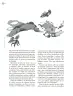 Miniatura página 19 de Crianza para la libertad. Libro para las familias. Fase 2  Libro de Educación Preescolar Grado 1°, 2°, 3°  Ciclo Escolar 2025 - 2026