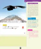 Miniatura página 142 de Ciencias Naturales – Primero Básico | Texto del Estudiante (MINEDUC) – Descargar PDF · 2024