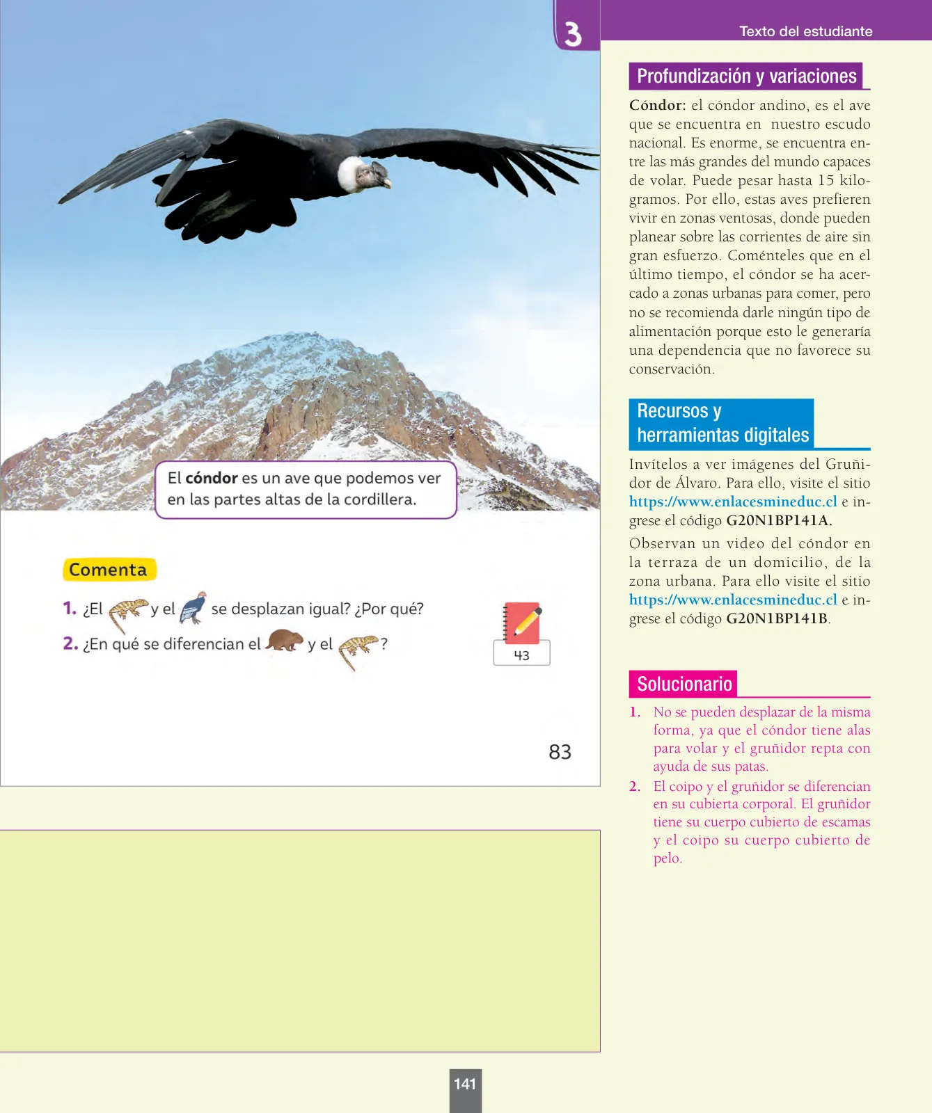 Miniatura página 142 de Ciencias Naturales – Primero Básico | Texto del Estudiante (MINEDUC) – Descargar PDF · 2024