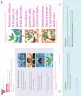 Miniatura página 91 de Lenguaje y Comunicación – Segundo Básico – Texto del Estudiante MINEDUC – Descargar PDF · 2024