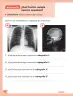 Miniatura página 11 de Ciencias Naturales – Segundo Básico | Texto del Estudiante MINEDUC – Descargar PDF · 2024