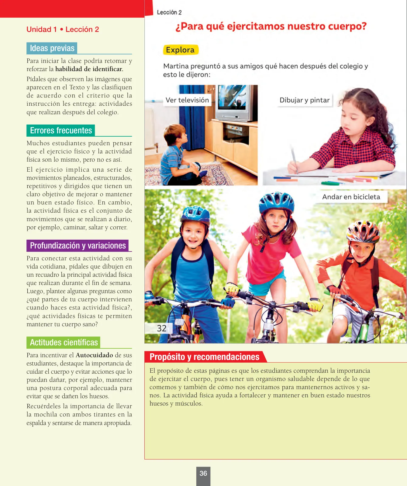 Miniatura página 37 de Ciencias Naturales – Primero Básico | Texto del Estudiante (MINEDUC) – Descargar PDF · 2024