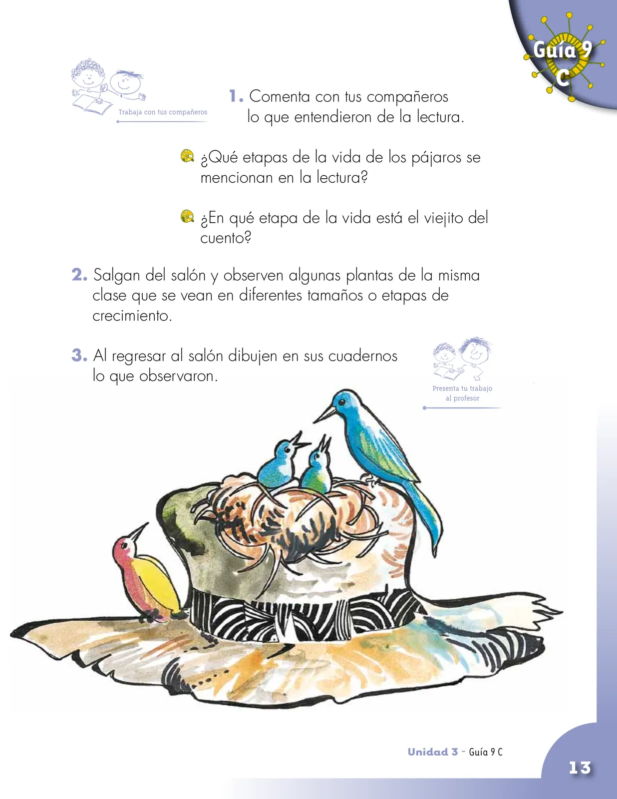 Pág 13