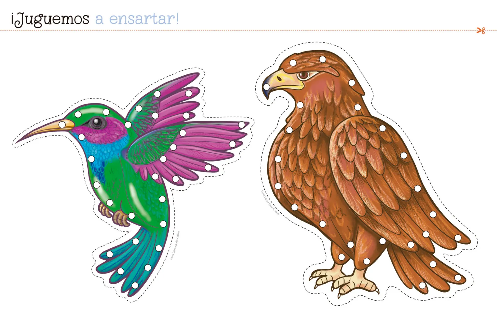 Pág 16