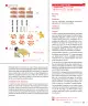 Miniatura página 37 de Sumo Primero – Primero Básico | Texto del Estudiante (MINEDUC) – Descargar PDF · 2024