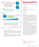 Miniatura página 23 de Sumo Primero – Segundo Básico | Texto del Estudiante MINEDUC – Descargar PDF · 2024