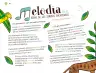 Miniatura página 105 de Múltiples lenguajes.   Libro de Educación Preescolar Grado 2°  Ciclo Escolar 2025 - 2026