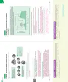 Miniatura página 67 de Ciencias Naturales – Séptimo Básico | Texto del Estudiante MINEDUC – Descargar PDF · 2024