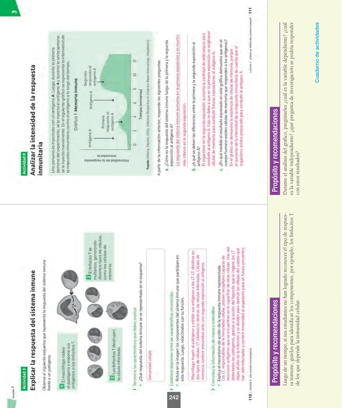 Miniatura página 67 de Ciencias Naturales – Séptimo Básico | Texto del Estudiante MINEDUC – Descargar PDF · 2024