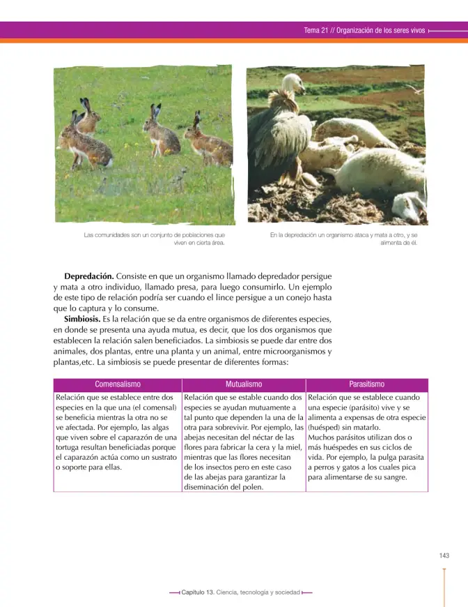 Página 145 de Ciencias Naturales 6° · Secundaria Activa