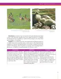 Miniatura página 145 de Ciencias Naturales 6° · Secundaria Activa