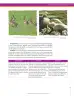 Miniatura página 145 de Ciencias Naturales 6° · Secundaria Activa