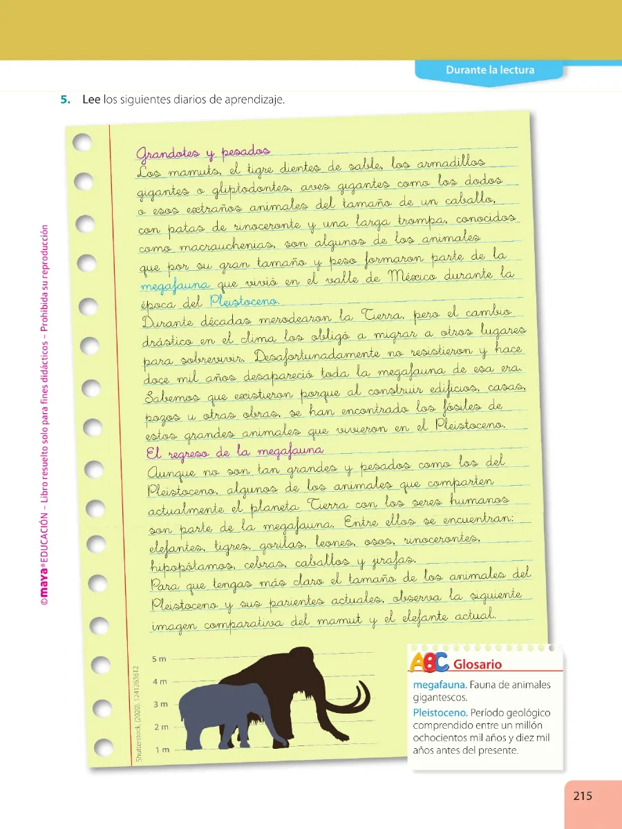 Página 217 de Lengua Y Literatura · 6 EGB · 2025
