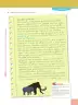 Miniatura página 217 de Lengua Y Literatura 6° · Egb 6 Lengua Y Literatura 2025 · 2025