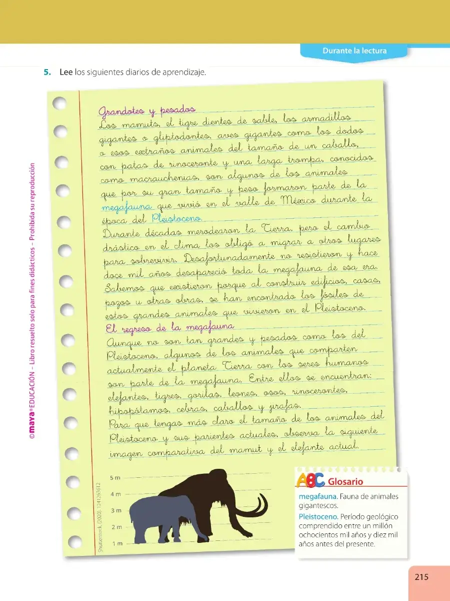 Página 217