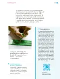 Miniatura página 58 de Nuestros saberes: Libro para alumnos, maestros y familia.   Libro de Educación Primaria Grado 1°  Ciclo Escolar 2025 - 2026