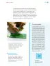 Miniatura página 58 de Nuestros saberes: Libro para alumnos, maestros y familia.   Libro de Educación Primaria Grado 1°  Ciclo Escolar 2025 - 2026