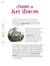 Miniatura página 179 de Múltiples lenguajes.   Libro de Educación Primaria Grado 4°  Ciclo Escolar 2025 - 2026