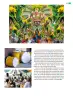 Miniatura página 100 de Colección Ximhai. Múltiples lenguajes.   Libro de Educación Telesecundaria Grado 1°  Ciclo Escolar 2025 - 2026