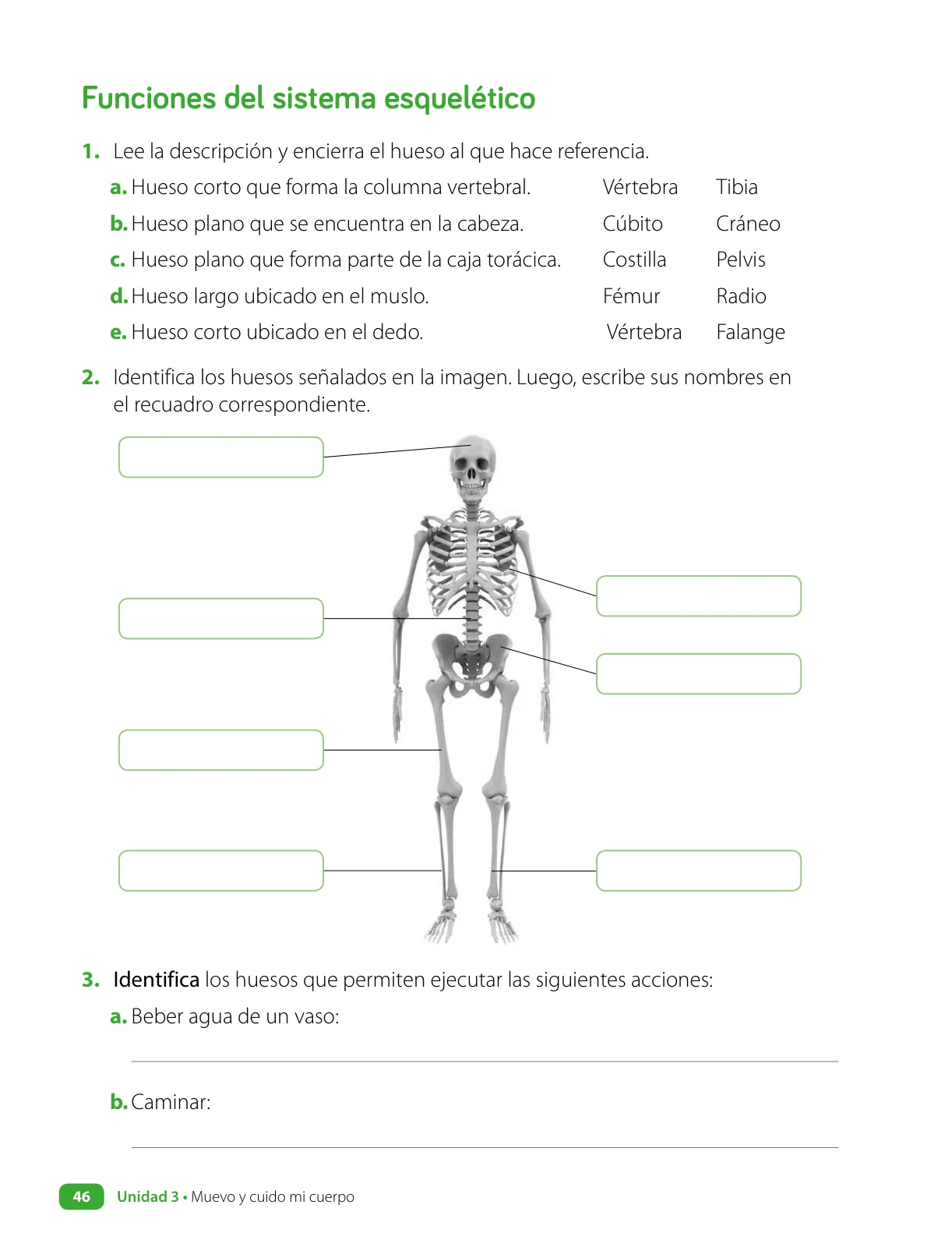 Página 48 de Ciencias Naturales – Cuarto Básico | Texto del Estudiante MINEDUC – Descargar PDF · 2024