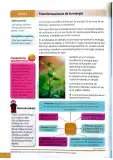 Miniatura página 195 de Ciencias Naturales 4° · Egb 4 Ciencias Naturales 2025 · 2025
