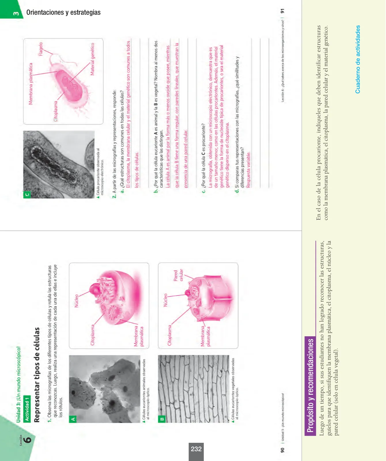 Página 57 de Ciencias Naturales – Séptimo Básico | Texto del Estudiante MINEDUC – Descargar PDF · 2024