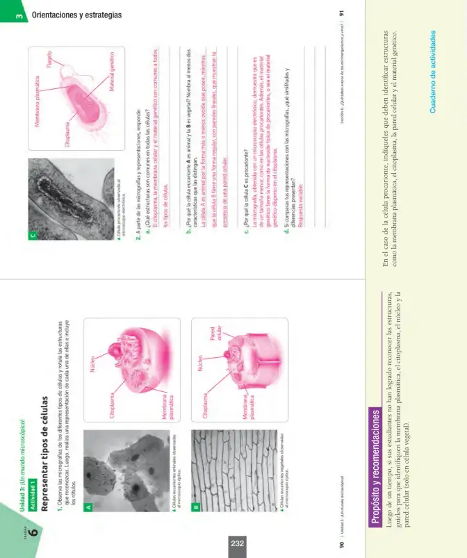 Página 57 de Ciencias Naturales – Séptimo Básico | Texto del Estudiante MINEDUC – Descargar PDF · 2024