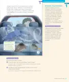 Miniatura página 27 de Lenguaje y Comunicación – Segundo Básico – Texto del Estudiante MINEDUC – Descargar PDF · 2024