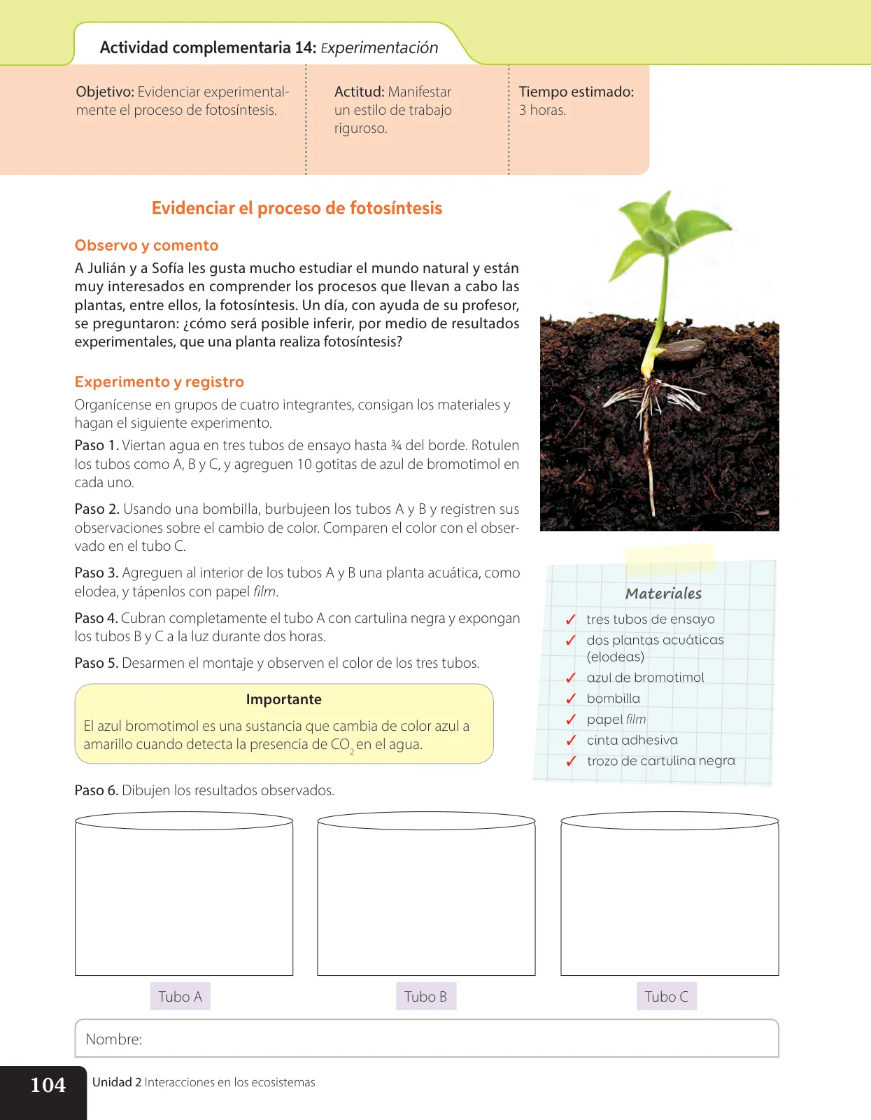 Página 171 de Libro de Ciencias Naturales – Quinto Básico | Texto del Estudiante MINEDUC – Descargar PDF · 2024