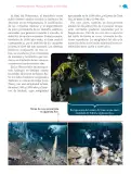 Miniatura página 40 de Nuestros saberes: México, grandeza y diversidad.   Libro de Educación Primaria Grado 4°  Ciclo Escolar 2025 - 2026