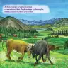 Miniatura página 31 de Llaqtaypa Kawsayninkuna. Saberes de los pueblos - 4° Primaria - Quechua chanka · 2023
