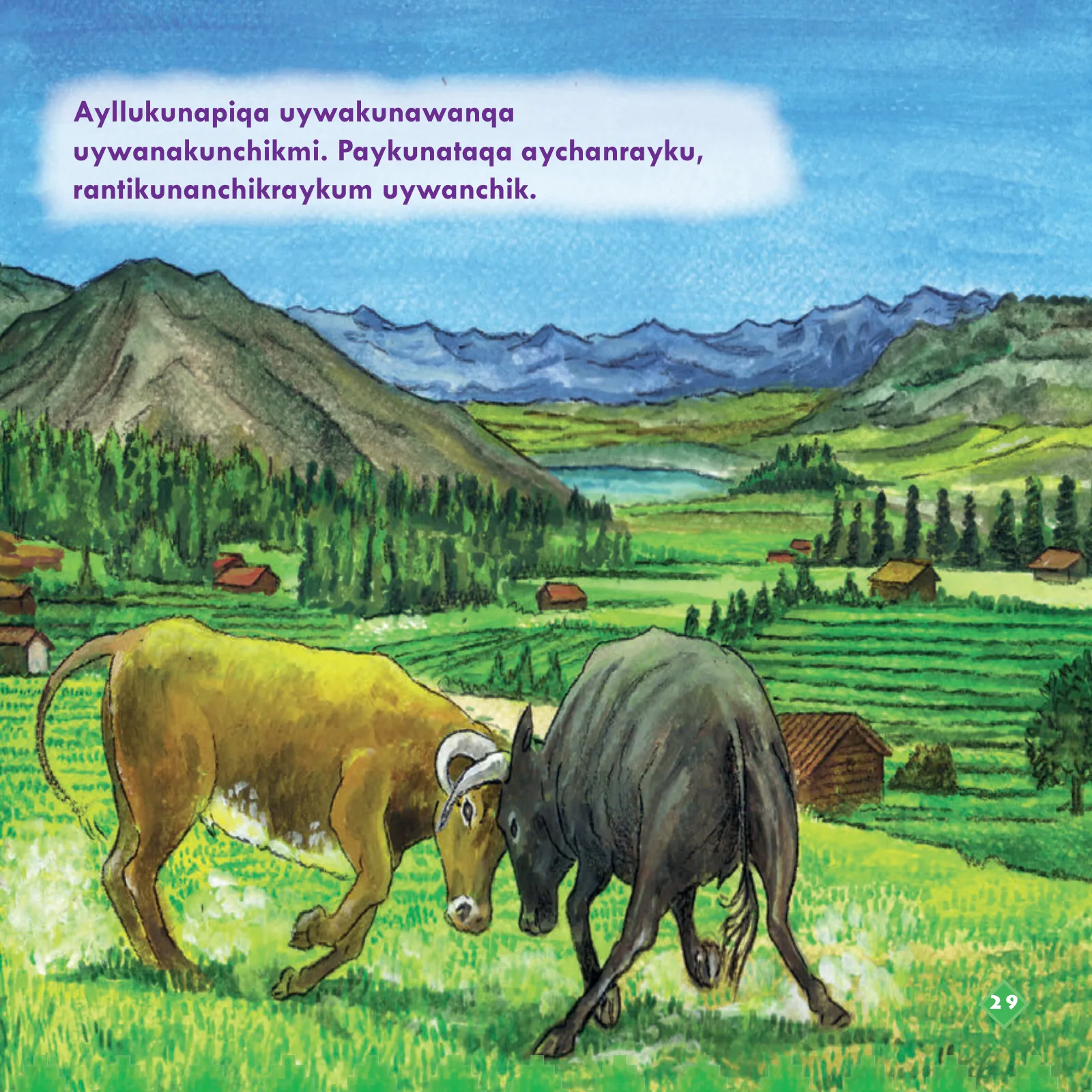 Miniatura página 31 de Llaqtaypa Kawsayninkuna. Saberes de los pueblos - 4° Primaria - Quechua chanka · 2023