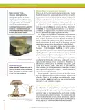Miniatura página 182 de Ciencias Naturales 6° · Secundaria Activa