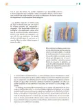 Miniatura página 282 de Colección Ximhai. Saberes y pensamiento científico.   Libro de Educación Telesecundaria Grado 1°  Ciclo Escolar 2025 - 2026