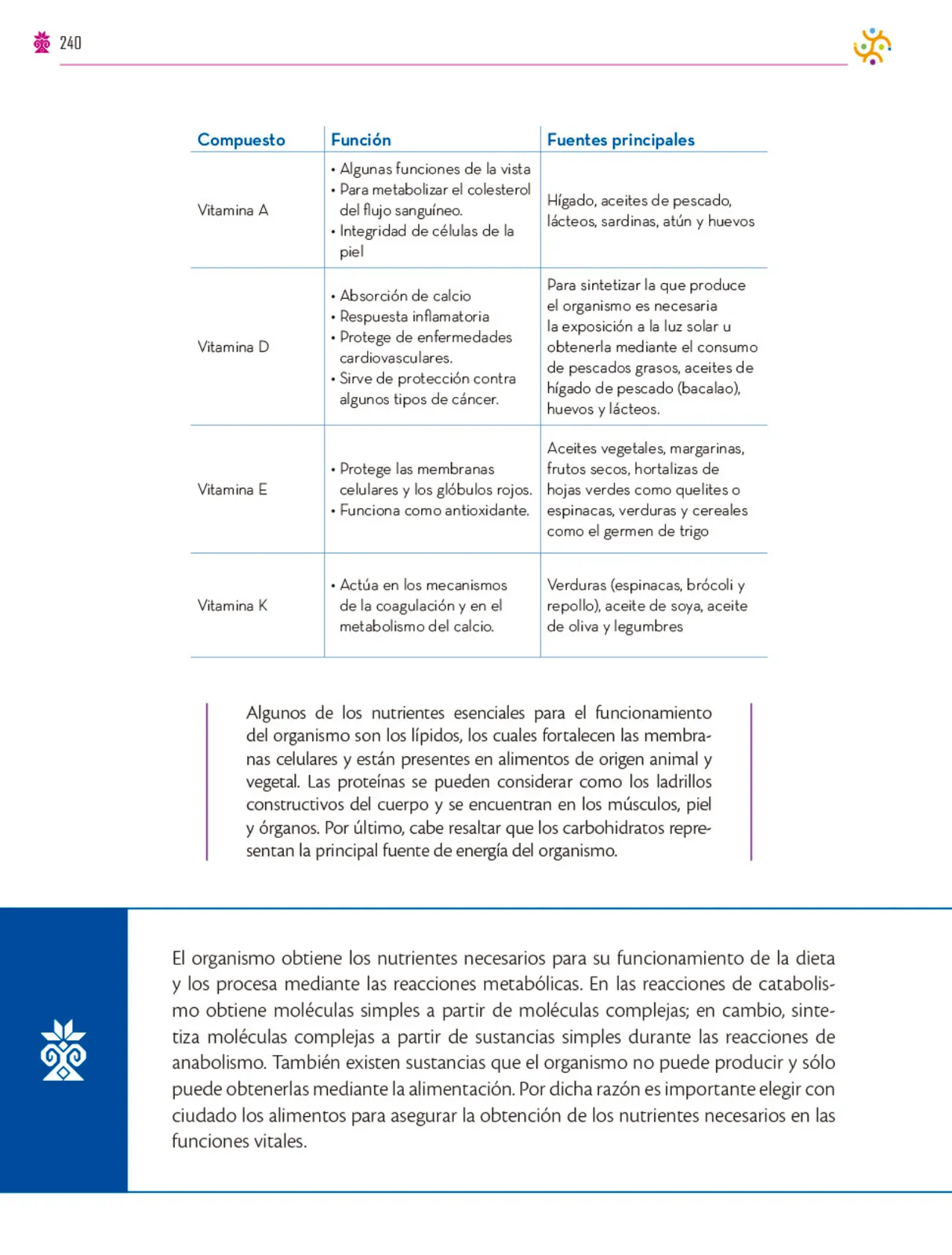 Miniatura página 241 de Colección Nanahuatzin. Saberes y pensamiento científico.   Libro de Educación Secundaria Grado 3°  Ciclo Escolar 2025 - 2026