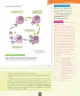 Miniatura página 126 de Ciencias Naturales – Séptimo Básico | Texto del Estudiante MINEDUC – Descargar PDF · 2024
