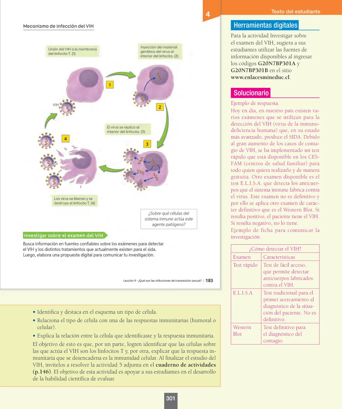 Miniatura página 126 de Ciencias Naturales – Séptimo Básico | Texto del Estudiante MINEDUC – Descargar PDF · 2024