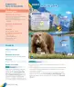 Miniatura página 16 de Inglés – Tercero Básico | Texto del Estudiante MINEDUC – Descargar PDF · 2024