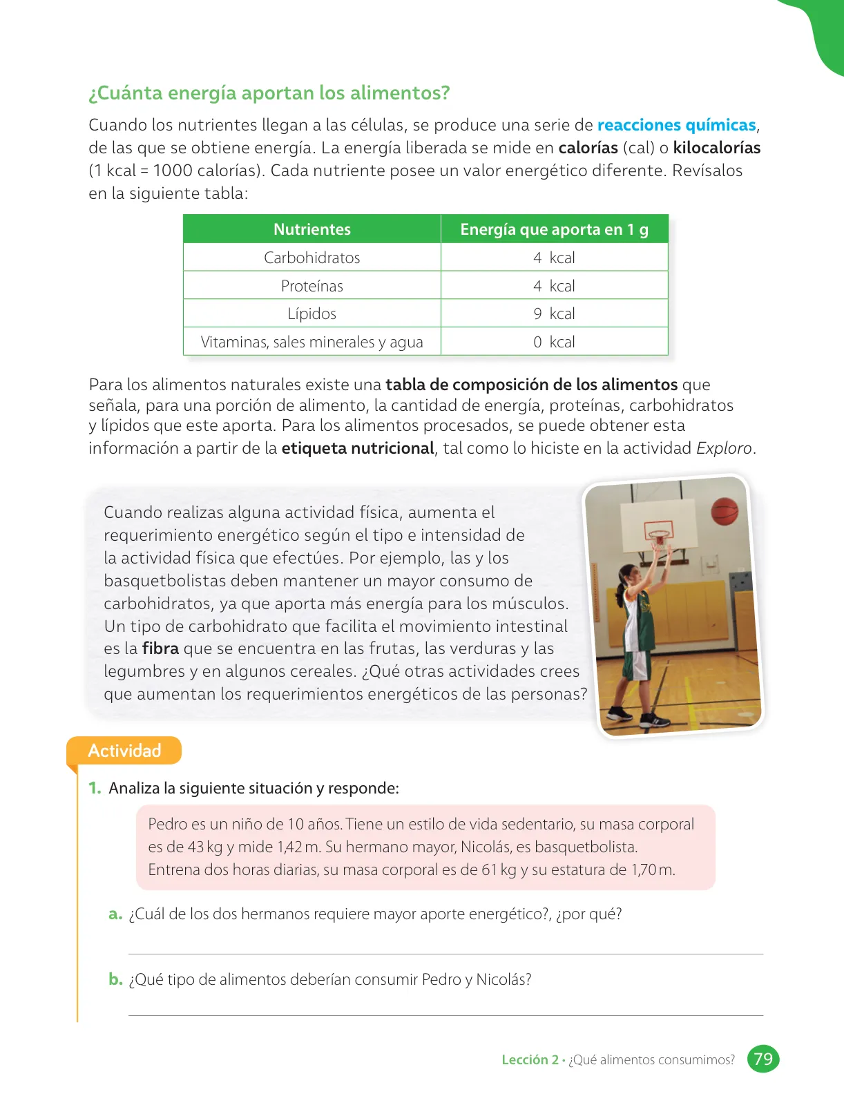 Página 81 de Libro de Ciencias Naturales – Quinto Básico | Texto del Estudiante MINEDUC – Descargar PDF · 2024