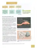Miniatura página 94 de Ciencias Naturales 10° · 2025