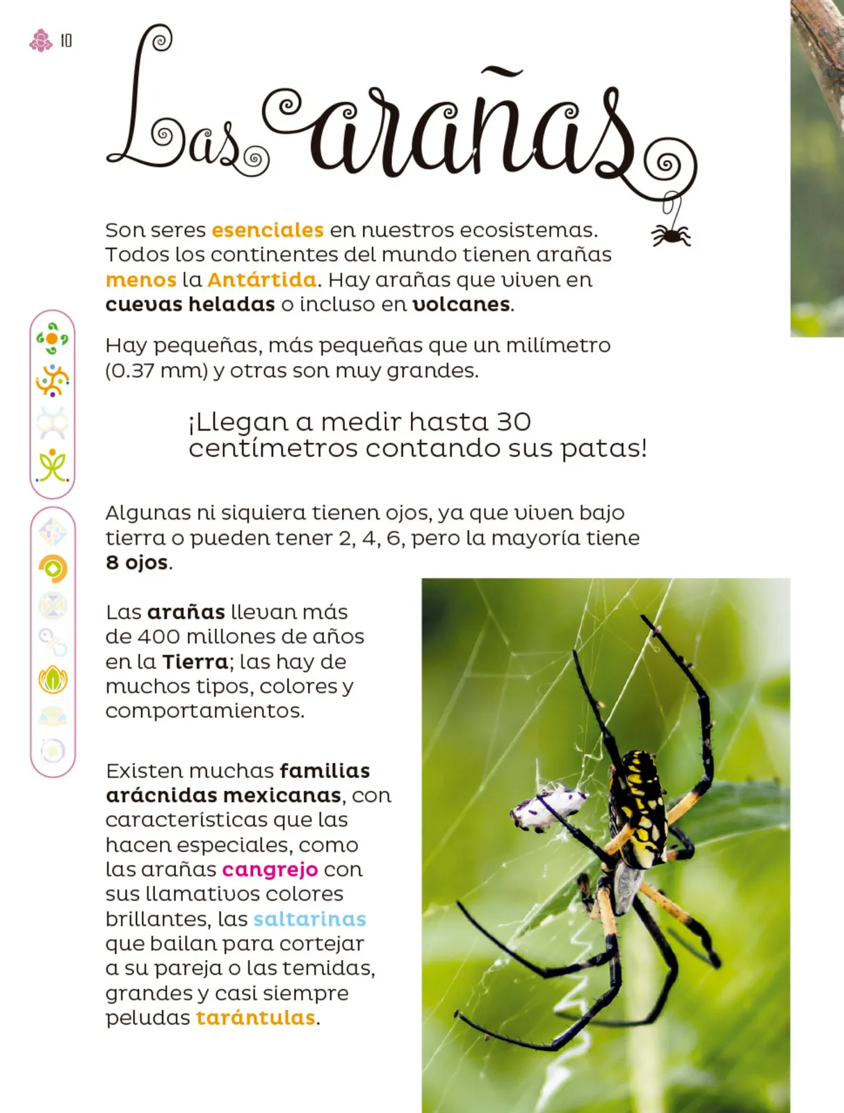 Pág 11